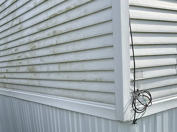 Siding Company Waverly MI